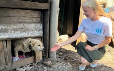 Дорогие девушки, женщины!